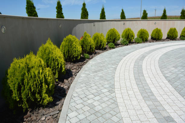 Best Custom Driveway Pavers  in Gaylord, MI